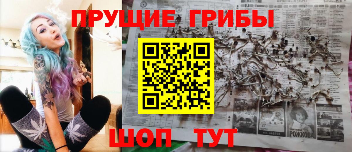 Псилоцибиновые грибы прущие грибы Чусовой